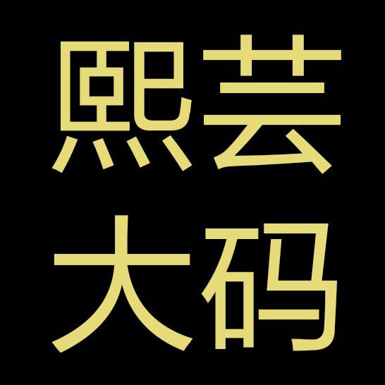 熙芸大码女装企业店