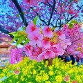 智云生活馆