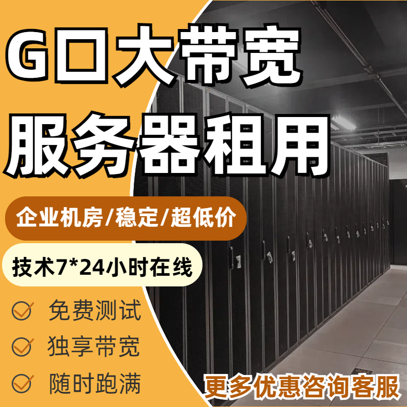 独享g口大带宽高配物理机移动电信联通bgp服务器租用托管游戏网站