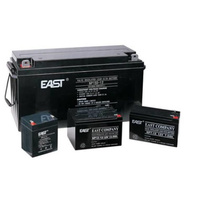 EAST easy special battery NP24-12UPS special 12V battery 12V24AH brand new