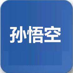 孙悟空化工