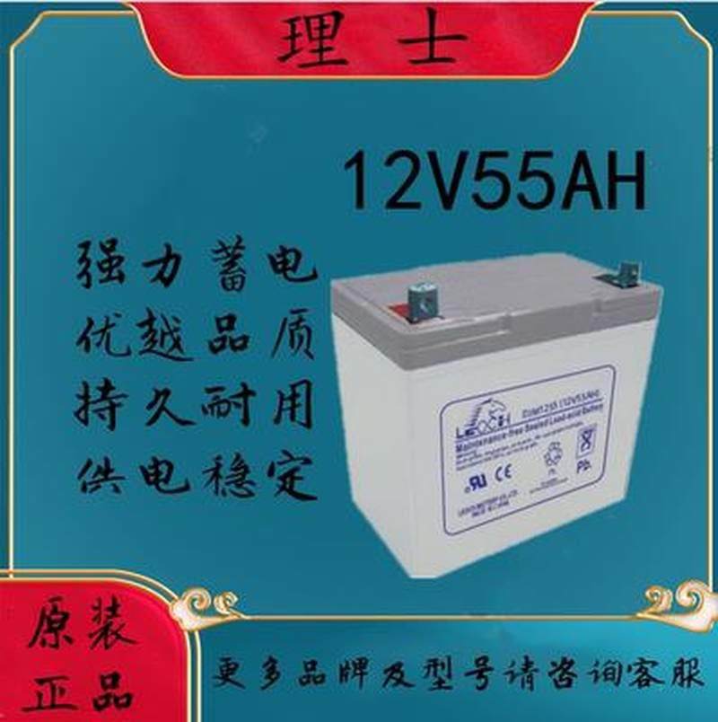 LEOCH Accumulators DJM1255 DJM1255 12V55AH UPS DC Screen Solar Fire Dedicated Battery-Taobao