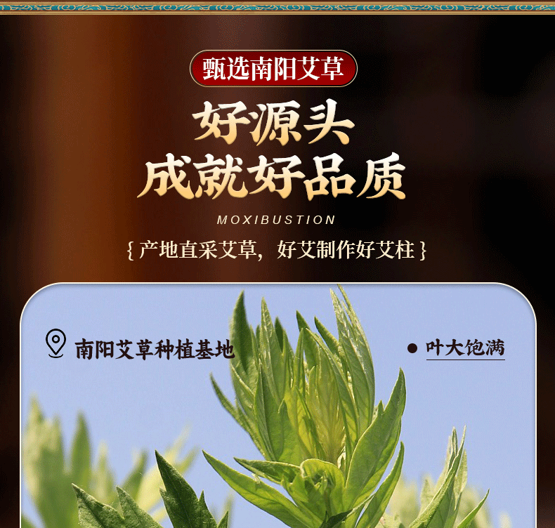 Moxa Stick Ai Zhu 艾柱 Moxibustion Column for Warming Massage and Heat Therapy Home Use overview