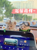 Car Ornaments, Creative and Cute Little Bear, Cartoon Car Dashboard Decoration, Car Interior Accessories, Car Goddess