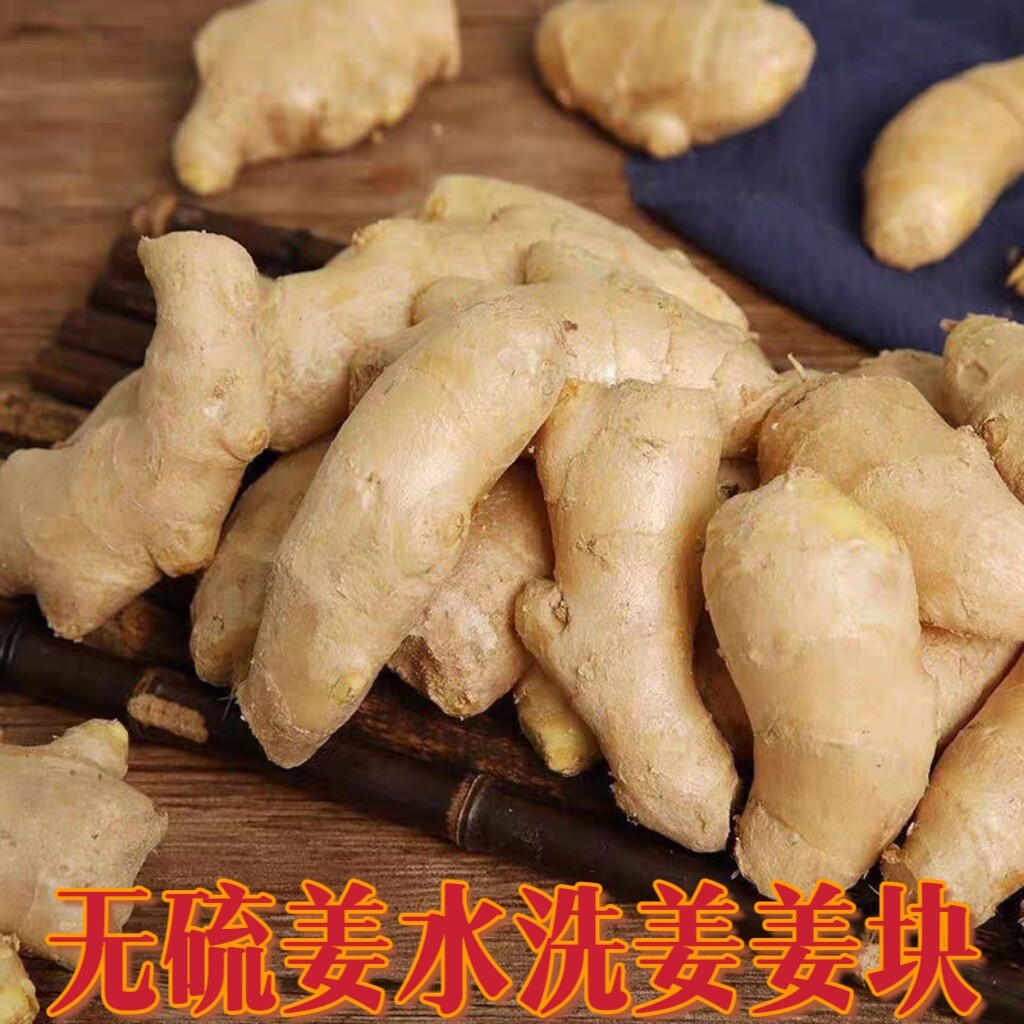 山东大姜:从田间到餐桌的姜之旅,解锁姜的N种吃法与功效!-生姜-淘宝百科网