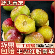 Authentic Sichuan Boneless Crispy Plums 3 Seasonal Fruit Bee Half Red Fresh Fruits Picked 5 Pregnant Women Fruit Box