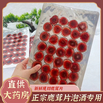 Antler sheet Official flagship store Chinese herbal medicine Bubble Water for Boiling Soup Men Nourishing Fresh with Blood Antler Flakes