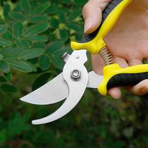 Manufacturer of professional pruning scissors garden potted fruit branch pruners branch scissors gardening scissors fruit picking scissors garden scissors
