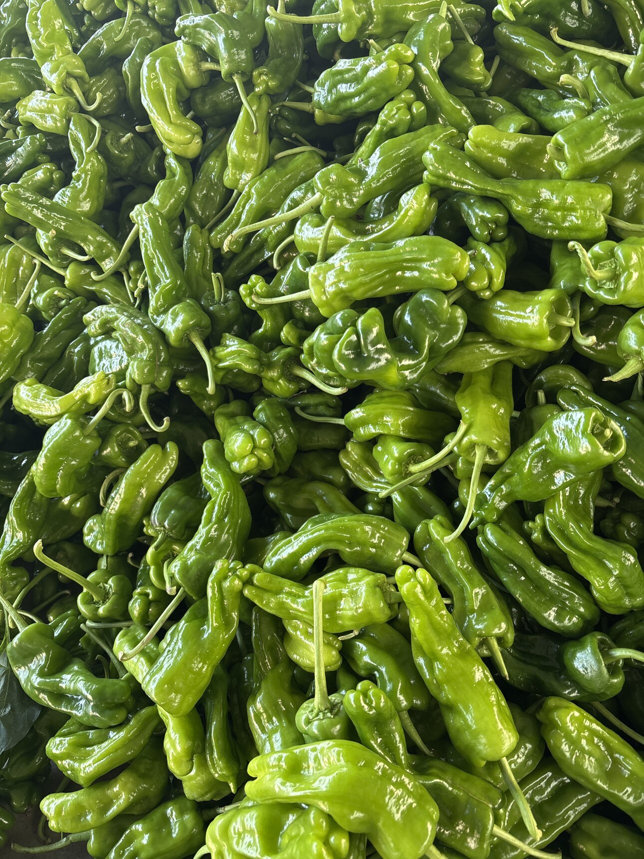沂蒙山蔬菜水果