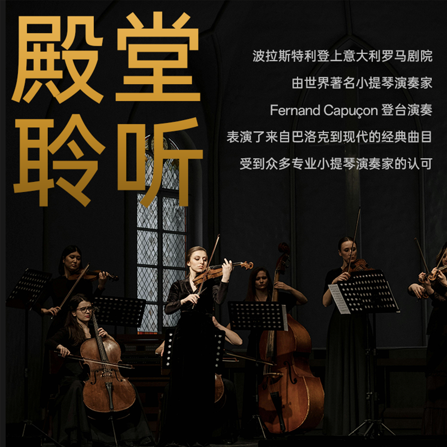 小提琴初学者必备：意大利进口实木手工专业成人考级演奏4/4乐器，开启音乐之旅！