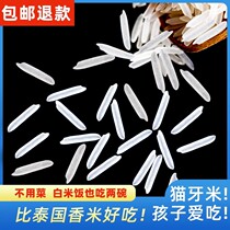 2023 New Rice Mao Ya Rice Late Rice Fragrant Rice Extra Long Grain Rice Silk Seedlings 10 Jin Claypot Rice Rice Egg Fried Rice Porridge Rice