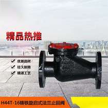 H44T cast iron flange swing check valve horizontal check check valve DN50 40 25 65 80 100