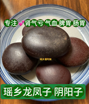 Yaoxiang wild dragon and phoenix seeds yin and yang seeds Chinese medicinal materials kidney trees vines and vines can be soaked in wine and can be used as romantic fruits.