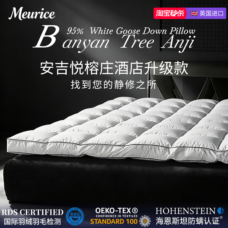 High-End New Imported 95% Goose down Mattress, down Cushion for Home Use, Thickened and Warm, Suitable for Five-Star Hotel Beds High-End New Imported 95% Goose down Mattress, down Cushion for Home Use, Thickened and Warm, Suitable for Five-Star Hotel Beds