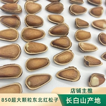 Northeastern Wild Red Pine Nuts Original Non-Fried Stupid 850 Large Particles Net Content 500g Dried Fruit New Years Goods