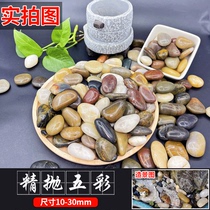 ly50 pounds cobblestone courtyard garden landscaping natural large and small stones rain flower stone paving raw stone goose soft and warm