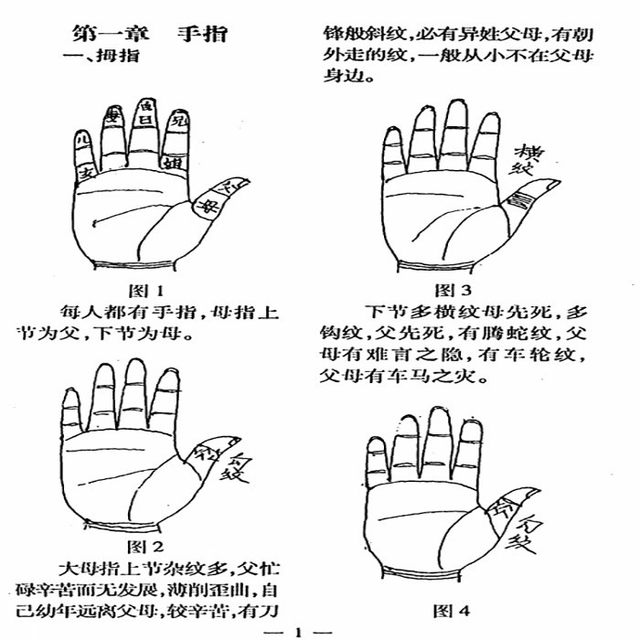Old Version of Ancient Books, 1200 Pictures of Palmistry, 320 Pages of Illustrated Ancient Books, Practical Guide, Original Edition Without Deletions