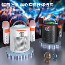New all-in-one outdoor family party singing set karaoke artifact Y11 wireless microphone Bluetooth audio