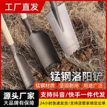 锰钢加厚洛阳铲挖树铲种起苗工具专用挖树根洞坑地土神器铁锹农用