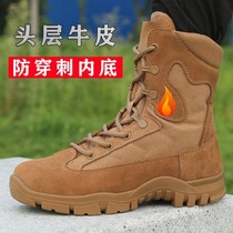 Spring and Autumn New Brown Boots Desert Combat Training Boots Mens Outdoor Training Boots High Top Waterproof Anti-Puncture Lightweight Mens Boots