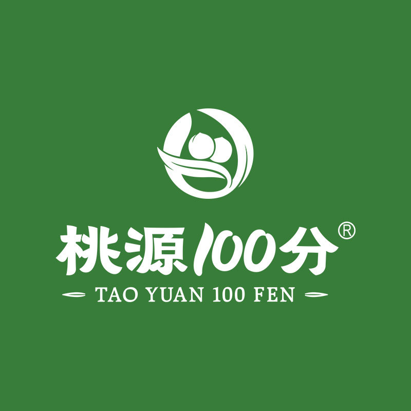 桃源100分核桃乳企业店