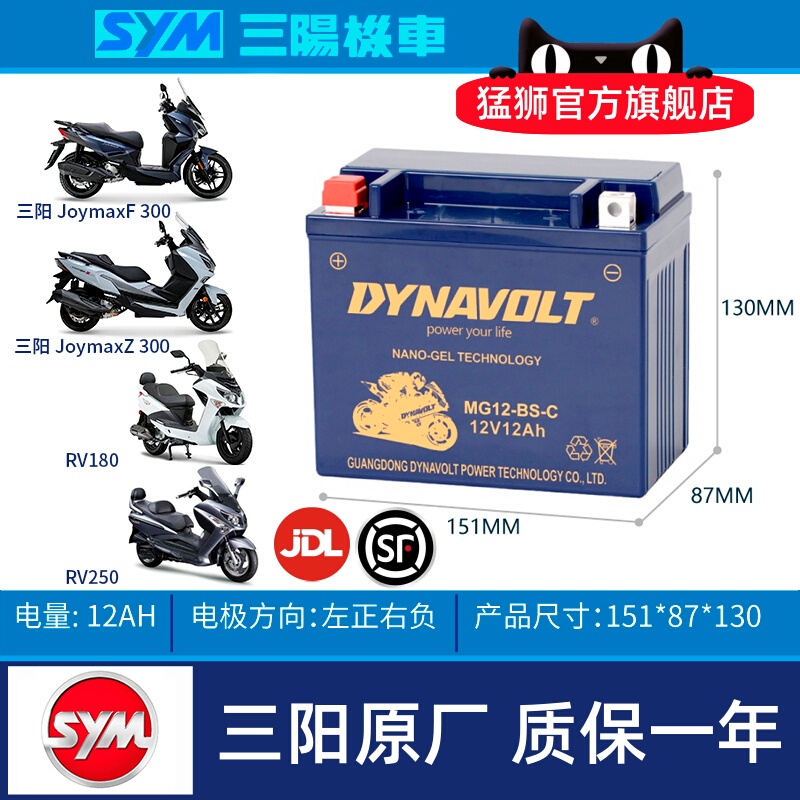 Sym Cruisym300 T1 T2 Z300 Ninebot Gts300I Maxsym 400 Battery