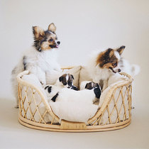 Pet Bed Handmade Rattan Pet Bed Dog Sofa Chair Cat Princess Small Bed Nest Universal for All Seasons Detachable