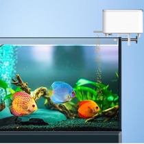 Mini version of guppy feeder remote timer wifi smart automatic fish feeder automatic feeder small