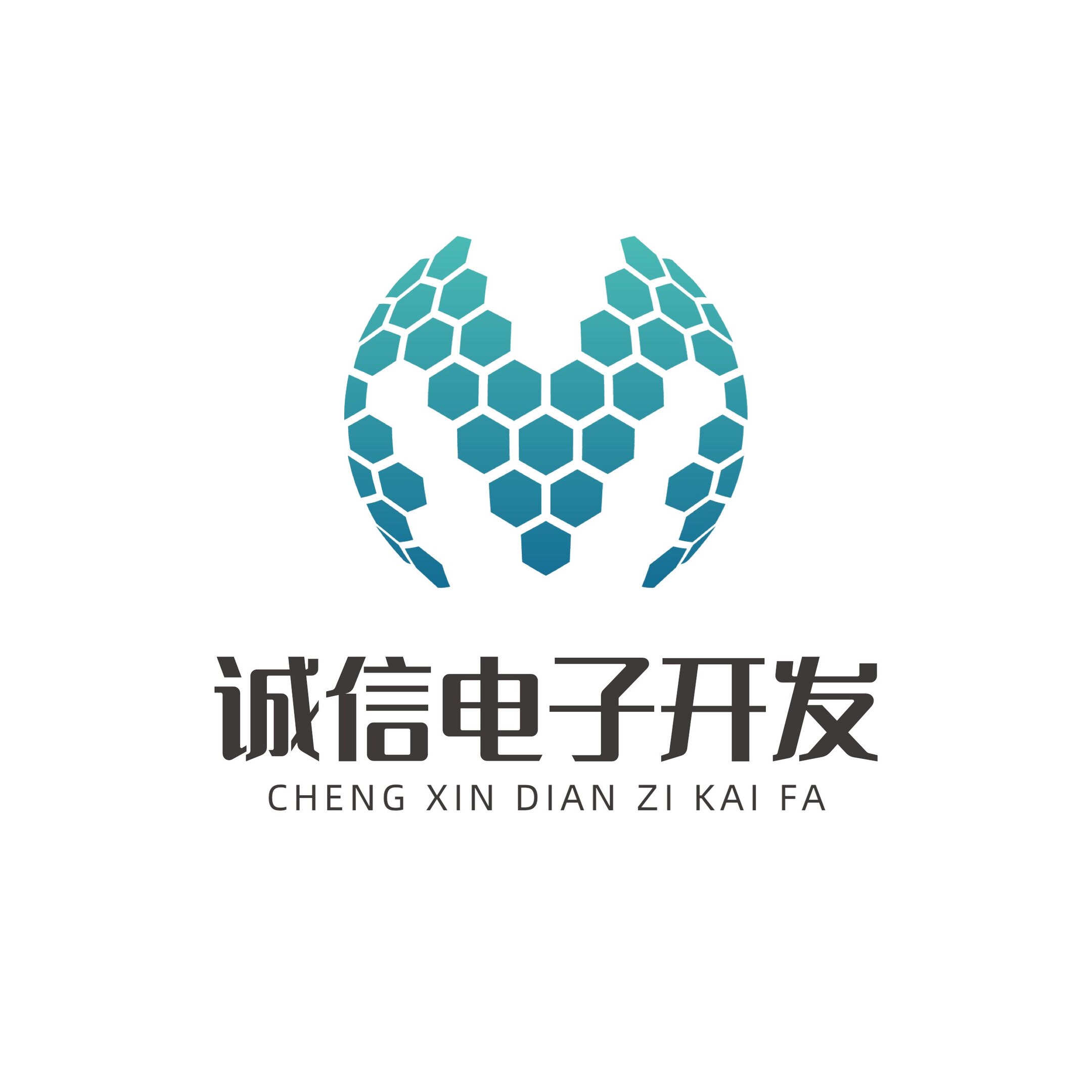 诚信电子开发