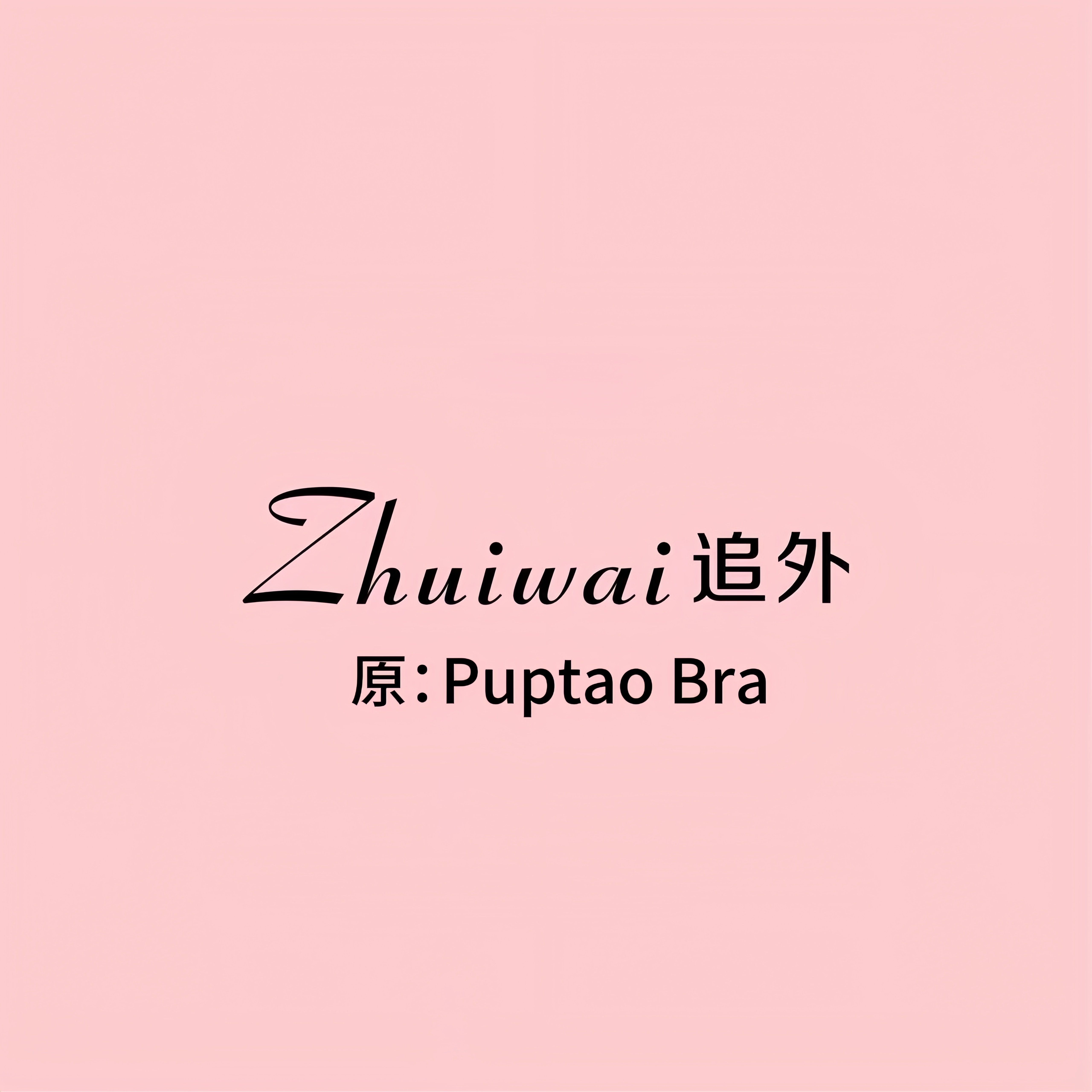 追外内衣