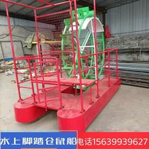 Internet celebrity water hamster boat light swan boat scenic pedal boat water bicycle childrens hand boat