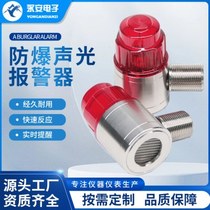 Yongan Industrial 24V explosion-proof decibel 304 stainless steel gas detector probe with sound and light alarm