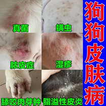 Dog dermatosis external spray long ringworm fungal infection with dematician mite off abscess Pussy Pet Special Liquid