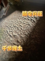 The raised dirt on the ground when walking is also caused by the accumulation of peoples shoes. Technicians say that peoples homes will be prosperous if they have this.