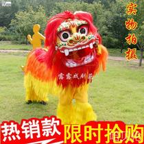 Complete set of lion dance props Northern Lion adult double lion head single child performance lion high-end lion dance props