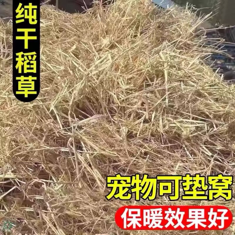 Straw Mats for Warmth, New Northeastern Straw Fiber, Clean and Dry, Rabbit Bedding, Pet and Poultry Straw Nests for Insulation