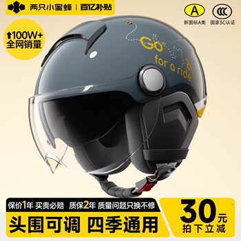 Two Little Bees 3C Certified Electric Motorcycle Helmet, Unisex, Suitable for All Seasons, Winter Warm Riding Safety Helmet