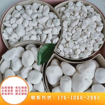 Jiangsu 40 pounds white stone landscape stone size pebbles courtyard paving balcony white stone landscaping