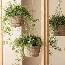 Shang Shang Home Handmade Straw Flower Basket Pastoral Style Cattail Weaving Hanging Basket Green Plant Chlorophytum Green Rose Hanging Flower Pot