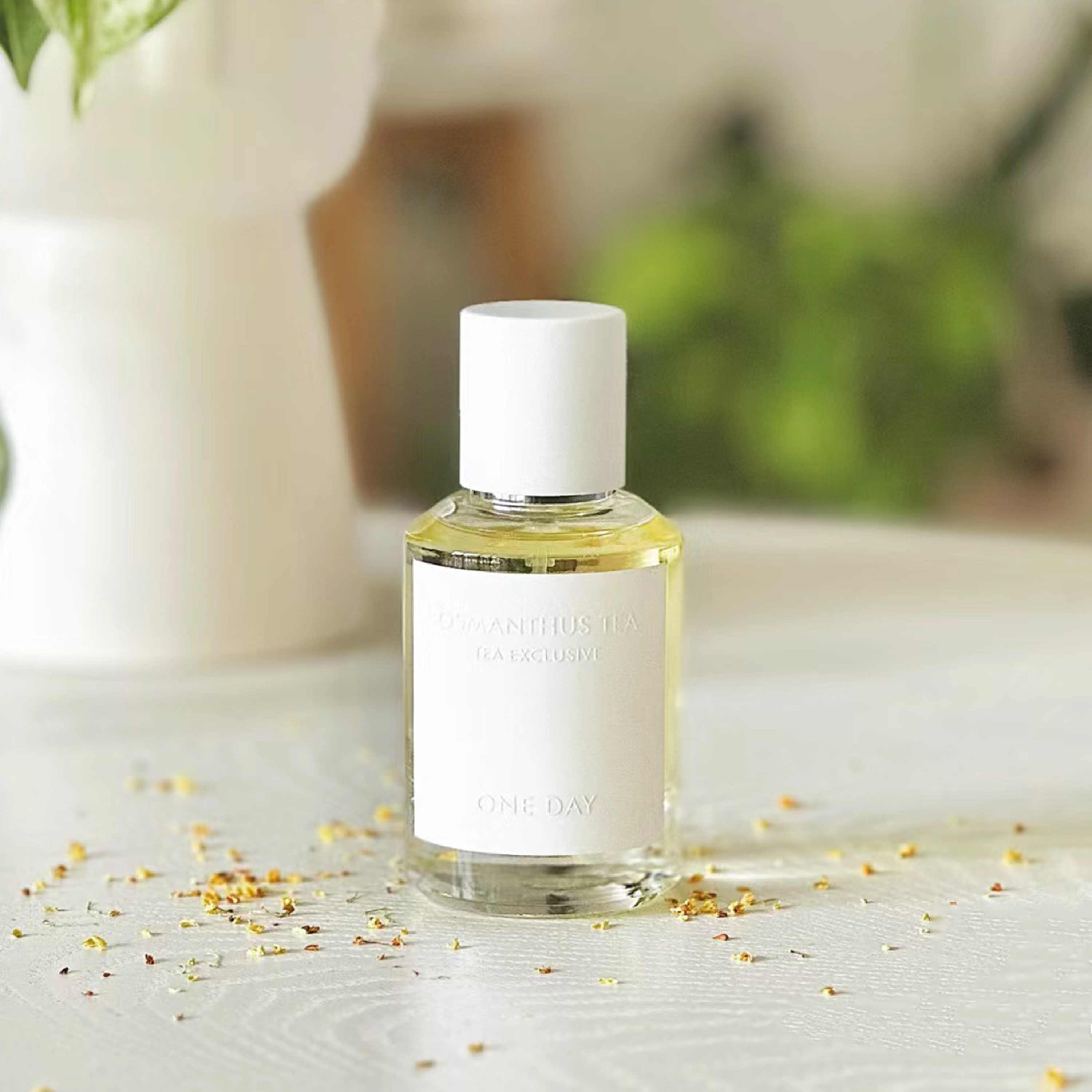 タイペイ TAIPEI ONE DAY 香水 60ml +オマケ（ベルリン） ONE DAY 香水