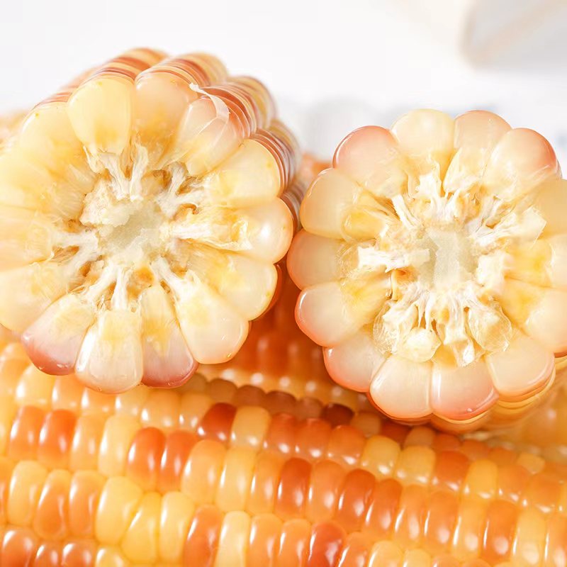 Yunnan specialty fragrant glutinous corn on the cob vacuum packaging