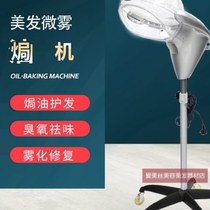 Dalang brand micro mist oil machine steam care hair care multifunctional high-end hair salon barber shop heating machine