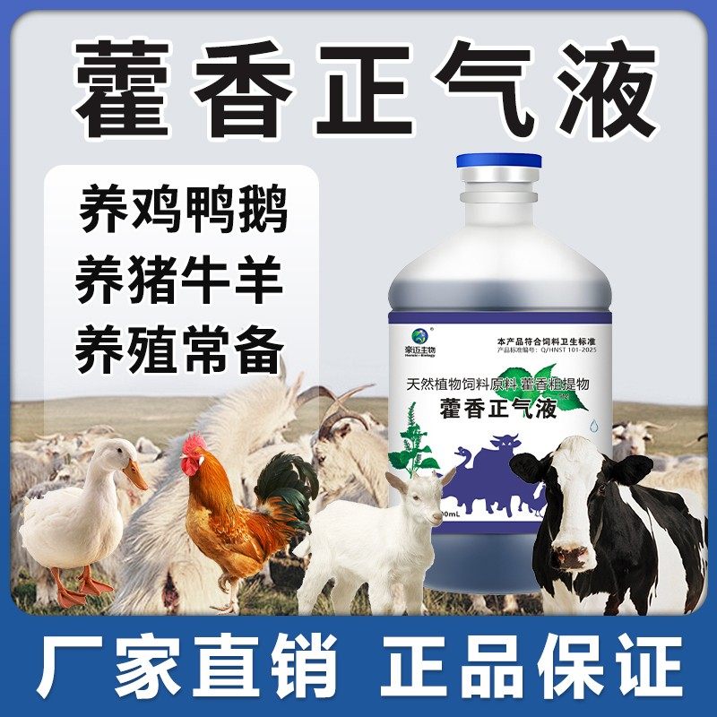 豪迈藿香正气液鸡鸭鹅鸽猪牛羊通用家禽夏日冰爽vc兽用饲料添加剂 