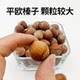 ພາກຕາເວັນອອກສຽງເໜືອ Ping'ou ເມັດໃຫຍ່ hazelnut ກະຮອກອາຫານເມັດພືດອາຫານຫຼັກອາຫານອາຫານວ່າງແຂ້ວຜີປີສາດເມັດພືດເມັດສີທອງຫມາກແຫ້ງເປືອກແຂງ