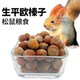 ພາກຕາເວັນອອກສຽງເໜືອ Ping'ou ເມັດໃຫຍ່ hazelnut ກະຮອກອາຫານເມັດພືດອາຫານຫຼັກອາຫານອາຫານວ່າງແຂ້ວຜີປີສາດເມັດພືດເມັດສີທອງຫມາກແຫ້ງເປືອກແຂງ