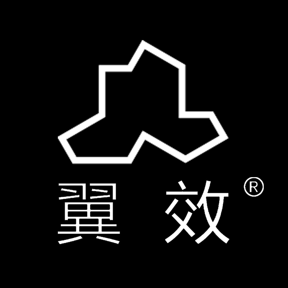 翼效FPV影视官营店的LOGO
