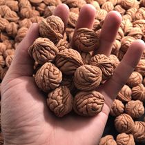 Peach core Tyrannosaurus peach core small walnut wholesale peach core loose seed light beads DIY bracelets Buddha beads carving peach core raw materials