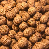 Mens and womens bracelets with bark pattern peach seeds loose seeds vertical pattern short bracelets light bead carving raw materials natural primary colors for men and women