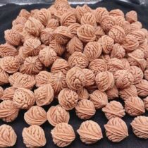 Bracelet Qinling Wild Spiny Dragon Scattered Seed Bracelet DIY Handmade Tyrannosaurus Light Bead Bracelet Special-shaped Retro