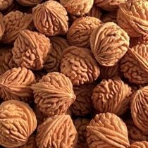 Dragon pattern peach core Shaanxi Qinling dragon pattern peach core thorn dragon pattern loose core handmade bracelets pure natural men and women custom-made